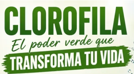 La magia verde